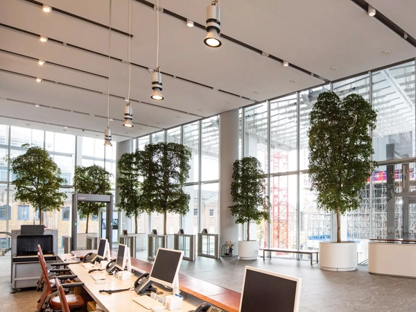 An open-plan office space with desks and trees